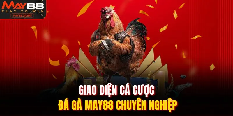 Giao diện cá cược đá gà May88 chuyên nghiệp 
